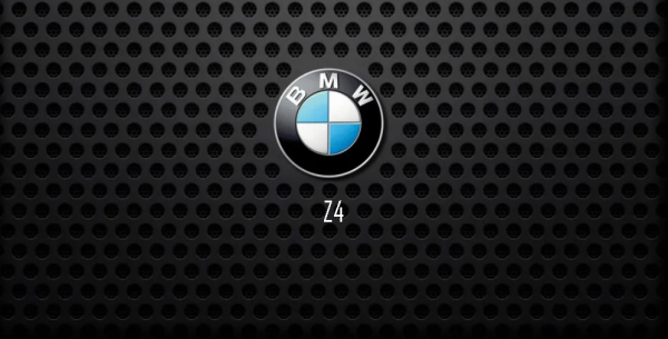 z4